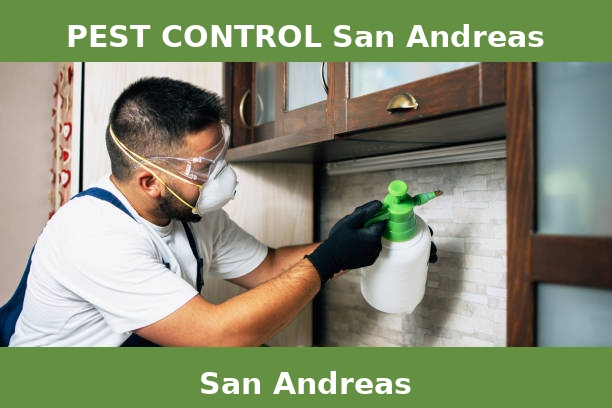 PEST CONTROL San Andreas